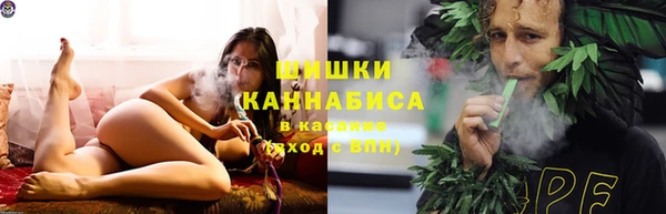 гашик Бородино